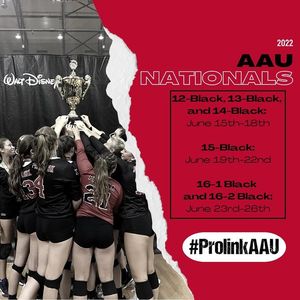 Image post by @PLAvolleyball on Facebook