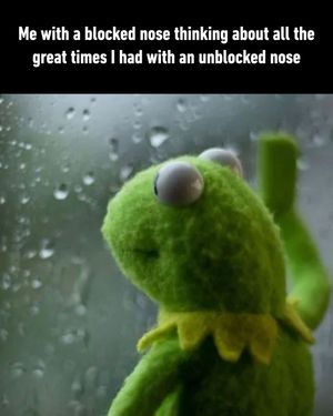 Image post by @9gag on Instagram