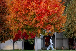 Image post by @washu on Instagram