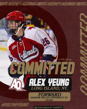 Image post by @aquinashockeycommitments on Instagram