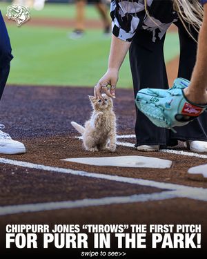 Image post by @gostripers on Instagram