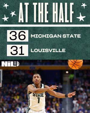 Image post by @msu.nil.store on Instagram