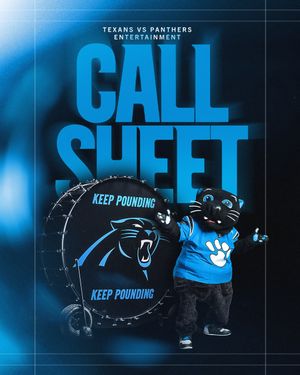 Image post by @panthers on Instagram
