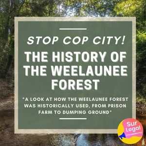 Image post by @green.anarchist on Instagram