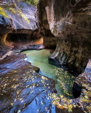 Image post by @nationalparkscollective on Instagram