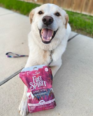 Image post by @triumphpetfood on Instagram