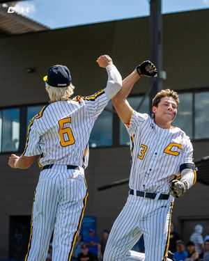 Image post by @thecanesbb on Instagram