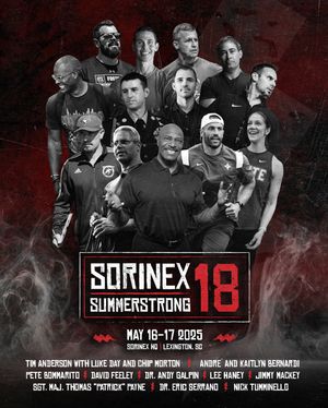 Image post by @sorinex on Instagram