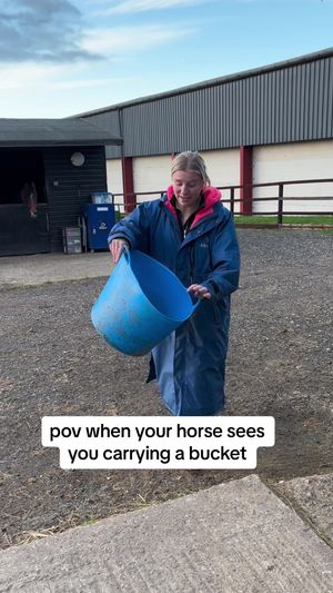 Video post by @millicentstennett on TikTok