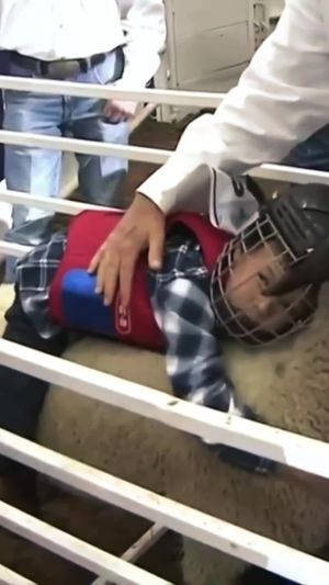 Video post by @prca_prorodeo on TikTok