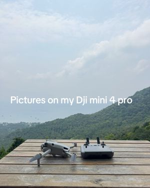 Video post by @forrestkraft on TikTok