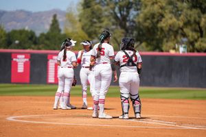 Image post by @csunsoftball on Instagram