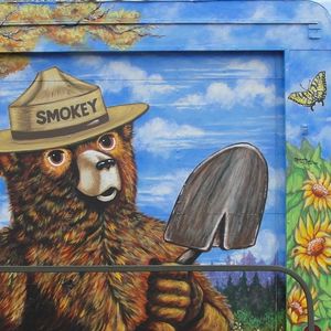 Image post by @smokeybear on Instagram