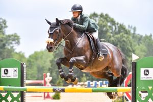 Image post by @theplaidhorsemag on Instagram