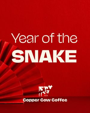 Image post by @coppercowcoffee on Instagram