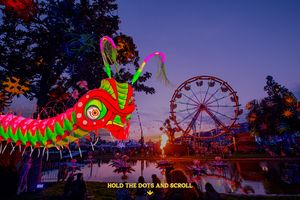 Image post by @beyondwland on Instagram