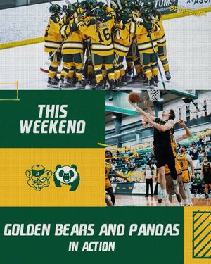 Image post by @bearsandpandas on Instagram