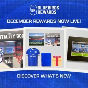 Image post by @cardiffcityfc on Instagram
