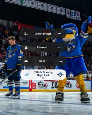 Image post by @thunderbirdsahl on Instagram