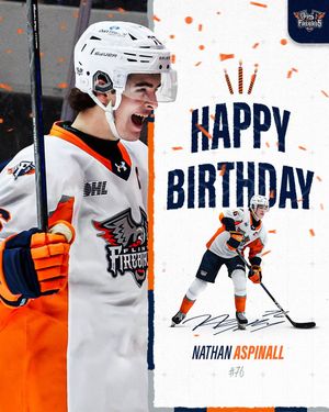 Image post by @flintfirebirds on Instagram