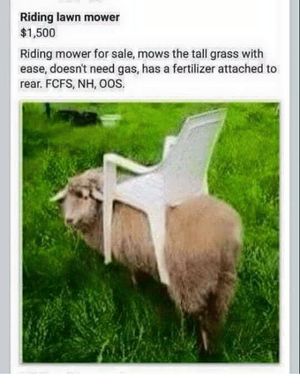 Image post by @SouthernAshesMusic on Facebook