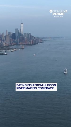 Video post by @abcnewslive on TikTok