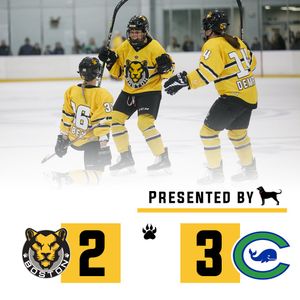 Image post by @TheBostonPride on Twitter