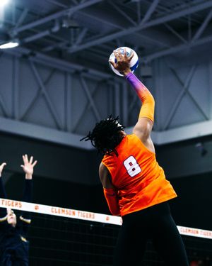 Image post by @clemsonvb on Instagram
