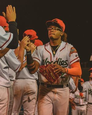 Image post by @gowoodducks on Instagram