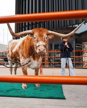 Image post by @texasmbb on Instagram