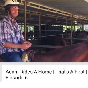 Image post by @realadamrose on Instagram