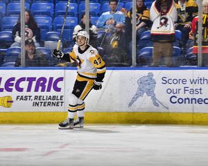 Image post by @wbspenguins on Instagram