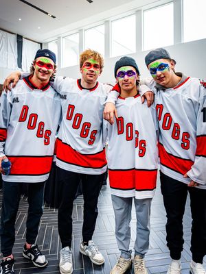 Image post by @ohlicedogs on Instagram