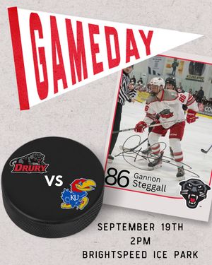 Image post by @drurym3hockey on Instagram