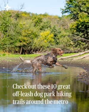 Image post by @startribune on Instagram