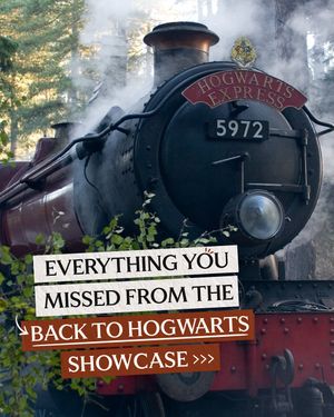 Image post by @harrypotter on Instagram