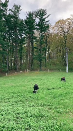 Video post by @filmbychloeg on TikTok