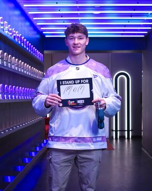 Image post by @BR_OpenIce on Twitter