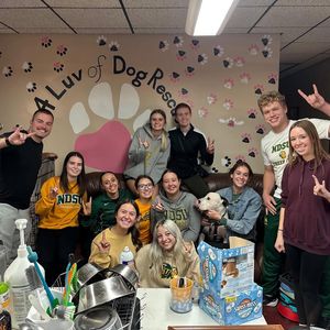 Image post by @ndsucheer on Instagram