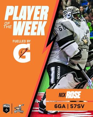 Image post by @nll on Instagram