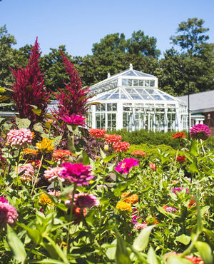 Image post by @ahs_gardening on Instagram
