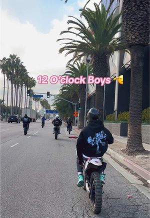 Video post by @wild_mahogany on TikTok