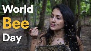 Video post by @rewild on YouTube
