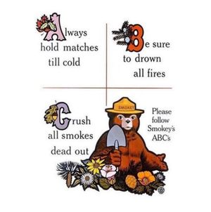 Image post by @smokeybear on Instagram