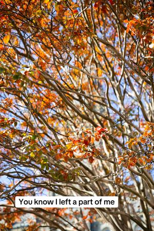 Video post by @georgetownu on TikTok