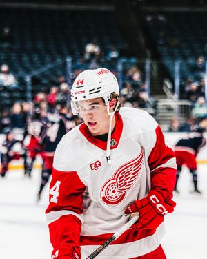 Image post by @DetroitRedWings on Twitter/X