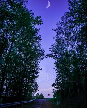 Image post by @mfassmedia on Instagram
