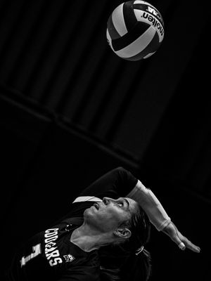 Image post by @ccucougars on Instagram