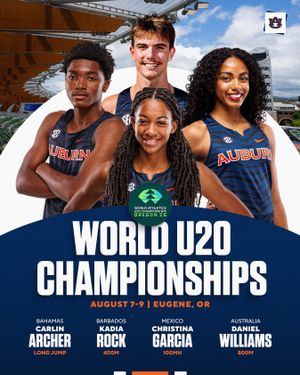 Image post by @auburntfxc on Instagram