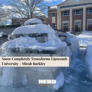 Image post by @medialipscomb on Instagram